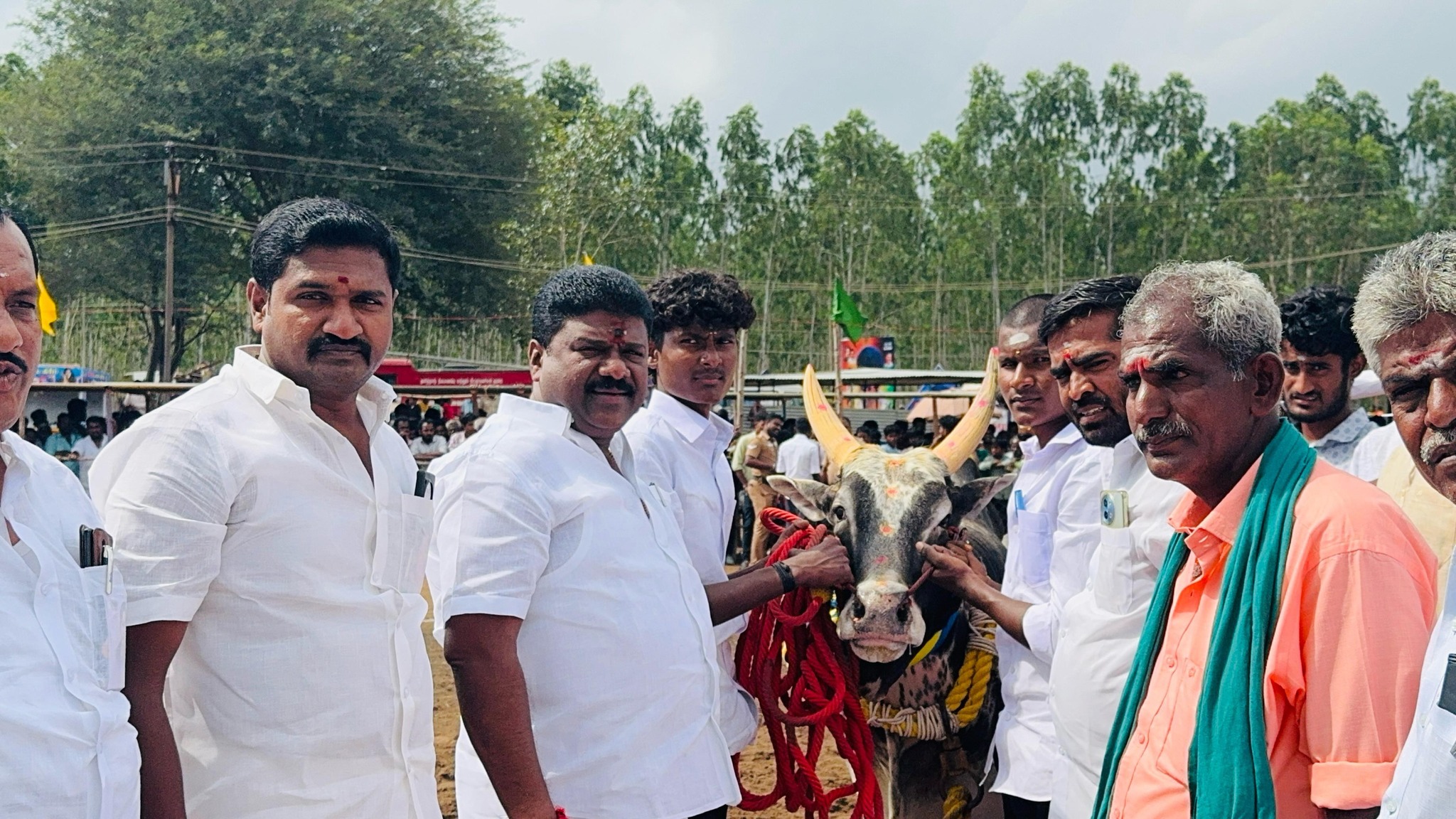 Traditional Vadamaadu Jallikattu Celebration at Mangottai village